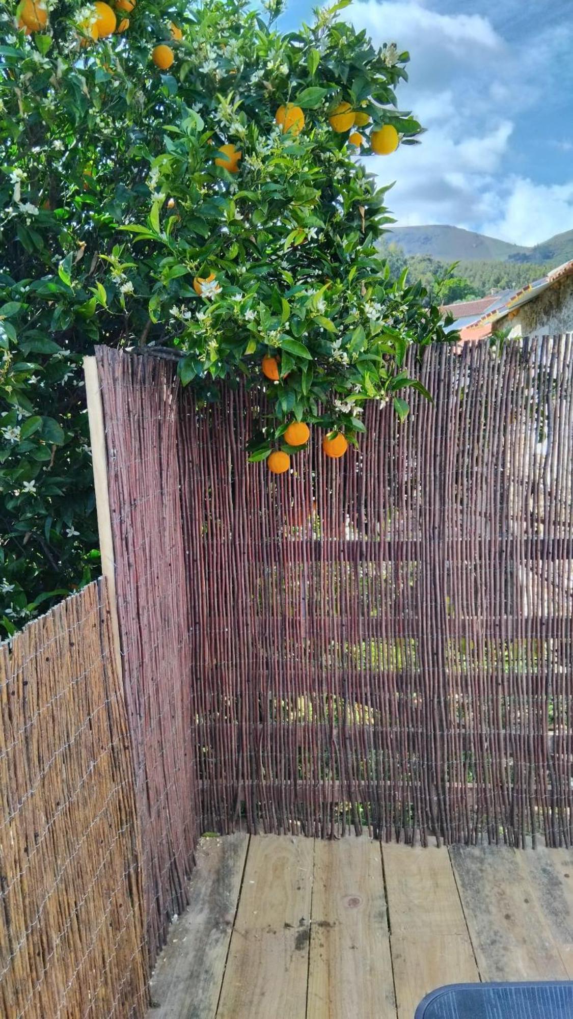 Casa Das Rocas Castanheira de Pera Exterior foto